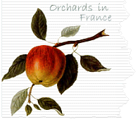  Orchards of France 