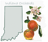  Indiana Orchards 