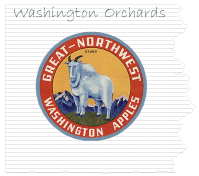  Washington Orchards 